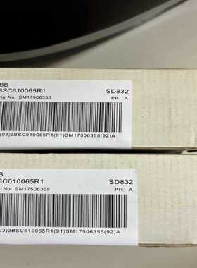 SD832 3BSC610065R1  ABB电源模块（地坛设备）