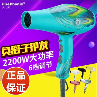 火之凤8960电吹风机发廊专用大功率理发店家用大风力吹风筒批发