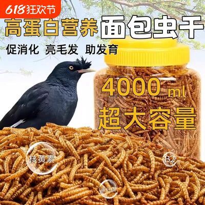 八哥饲料面包虫干芦丁鸡鹦鹉幼鸟鹌鹑专用鸟粮食物营养专用
