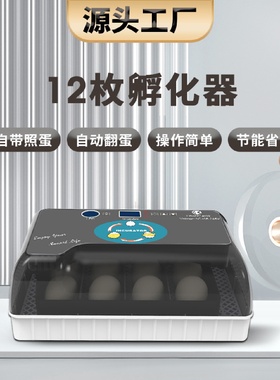 工厂直供12枚小型鸡蛋孵化器家用小鸡鸽子鸭子鸟蛋养殖孵化孵蛋机