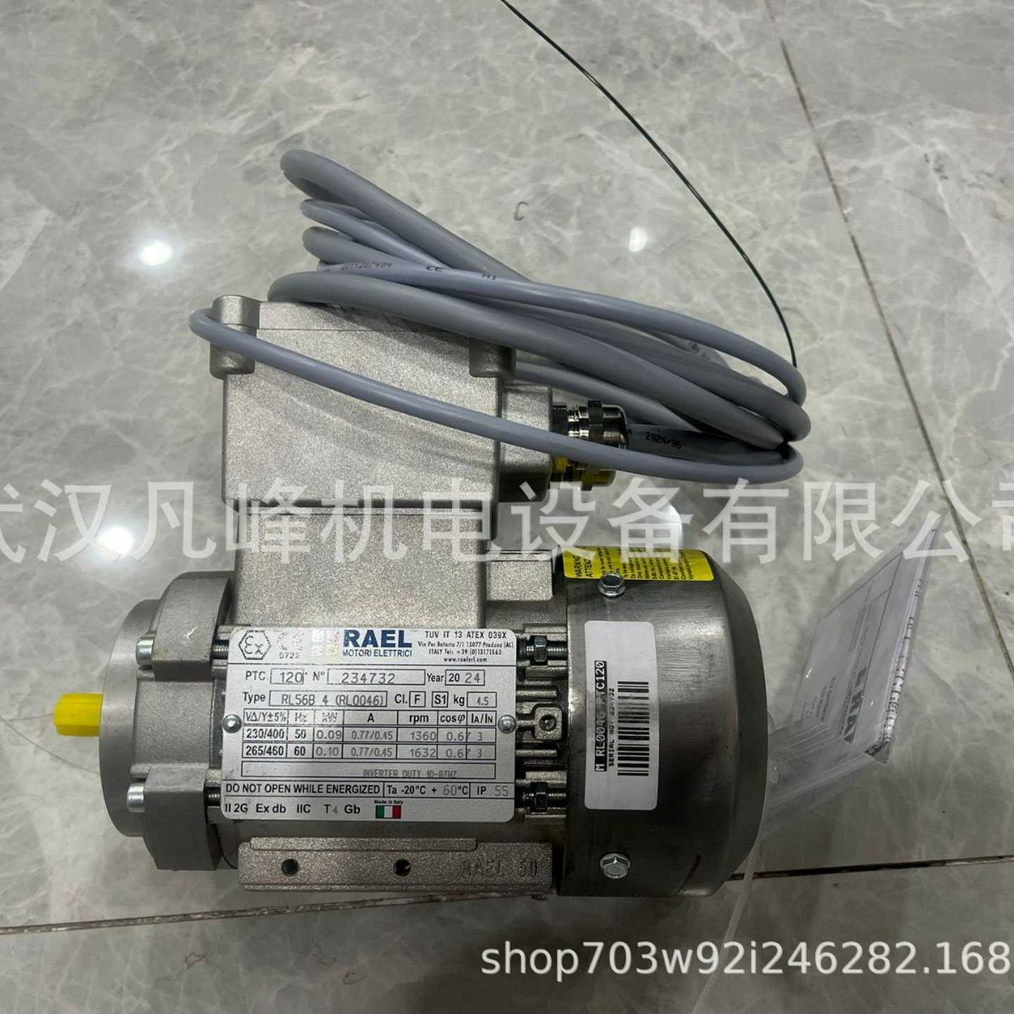 意大利进口RAEL防爆电机L80B2(RL1067-h1)等