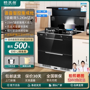 家用集成保洁柜气电分离蒸烤一体灶烟灶联动模块化集成灶工厂批发