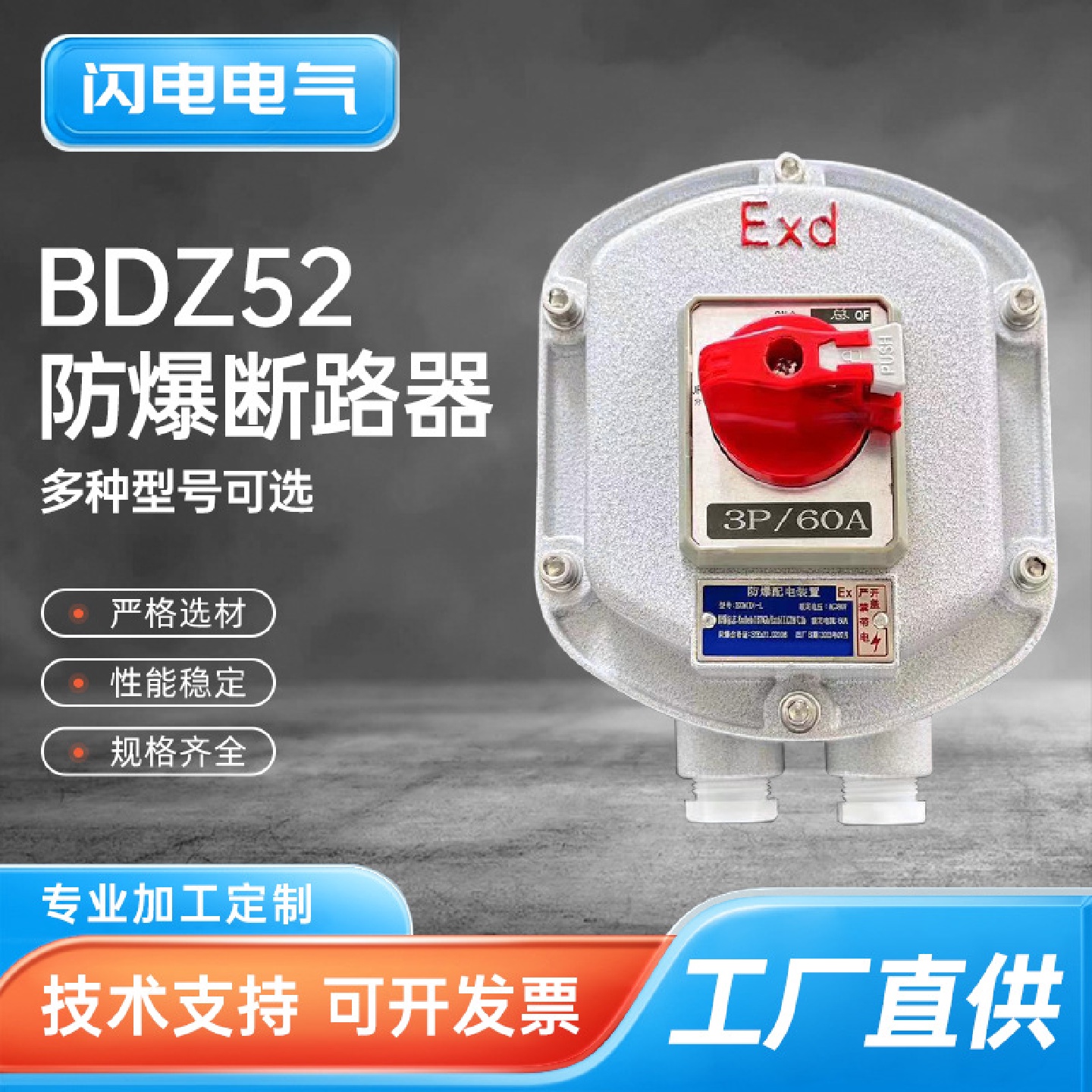 BDZ52防爆断路器防爆开关箱防爆空开电源箱一体式防爆开关