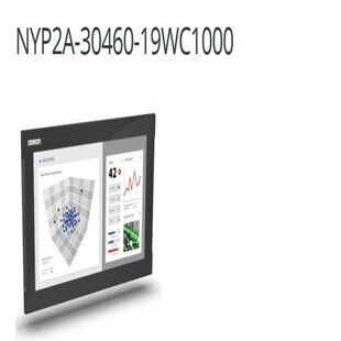 30460 NYP2A 19WC1000 幸琪商铺