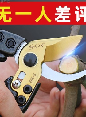 剪枝剪刀园艺果树修枝剪树枝剪刀园林强力修花枝剪子省力神器家用