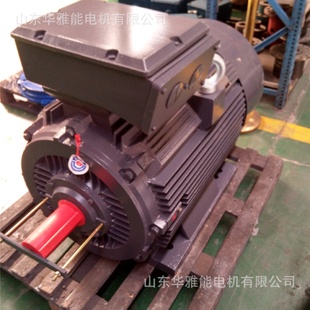 一级能效YBX5电机接线盒YBX4 45电动机H级高温电缆锁紧头 225M