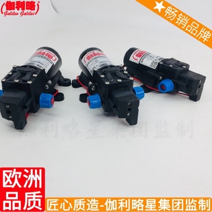 打药机隔膜泵打孔水泵反渗透微型隔膜泵豫往复泵GalileoGalil