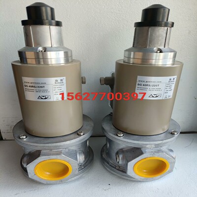 SG40RS/220T施能慢开电磁阀SG50RS/220~询价