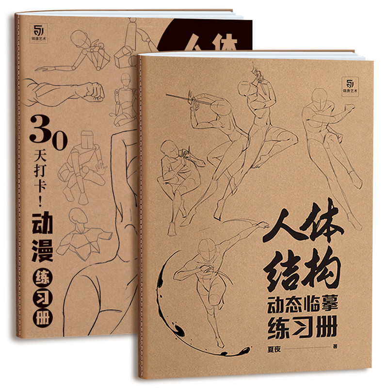 伯里曼描摹练习+人体结构动态临摹练习套装 人体素描速写