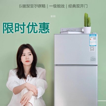小冰柜一个起批用两人冰箱单人冷冻宿舍家用对开门迷你小型X20