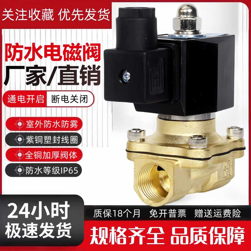 室外防水电磁阀水阀气阀DN15/20/25/35/40/50开关阀控制阀220V2