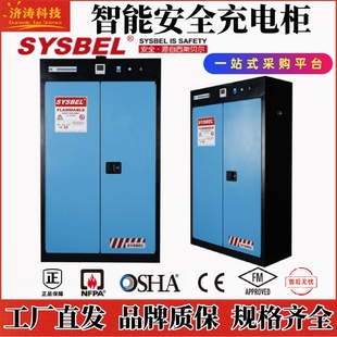 西斯贝尔工业实验室WA810454智能安全蓄电池充电危险品储存安全柜
