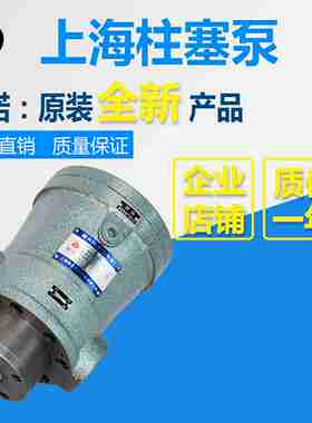 议价-10MCY25MCY2.5MCY5YCY63MCY80MCY160MCY14-1B轴向柱塞油