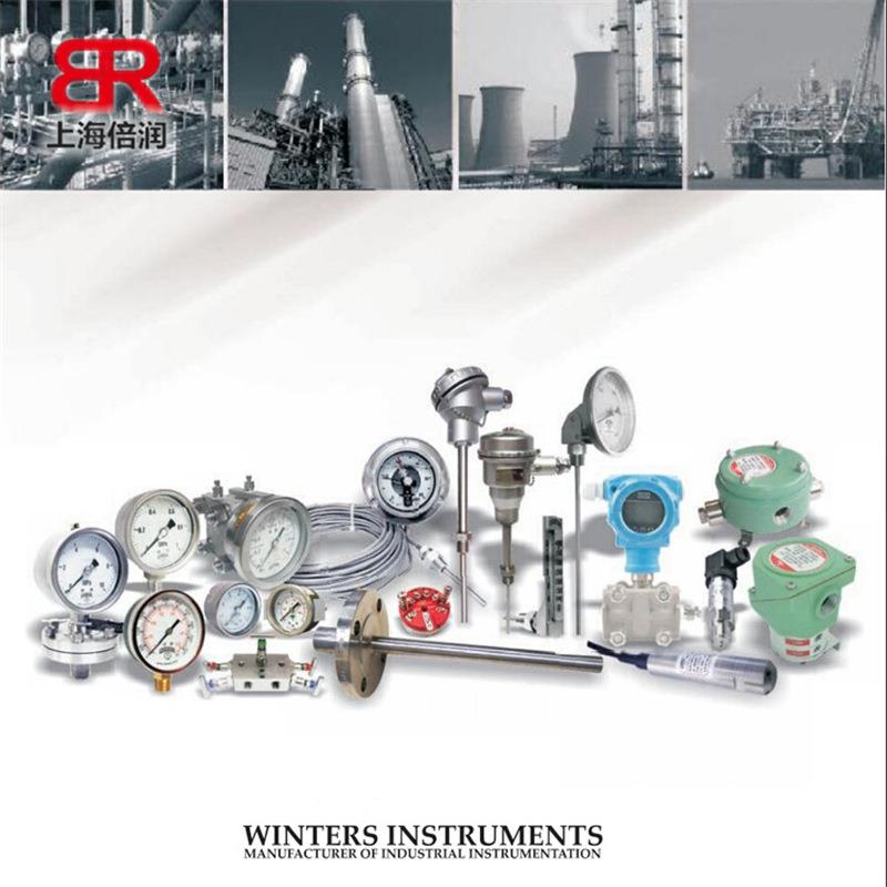 倍润WINTERS供应TSR（TSP）系列太阳能式数字远传温度计