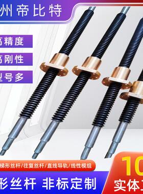 研磨梯tT形丝杆升降机04不锈钢双向正反丝杆TR25 6铜铁螺母