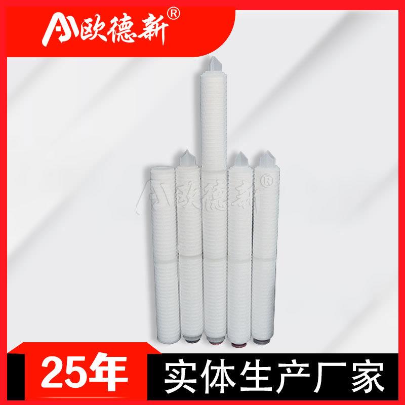 PES折叠膜滤芯R222火箭头保安过滤0.1um聚四氟乙烯pp微孔折叠滤芯