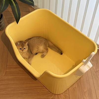 猫砂盆超大号开放式特大半封闭厕所防外溅屎盆布偶缅因巨大猫沙盆