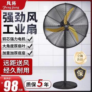 风将电风扇工业风扇家用摇头大风力落地扇强力可升降工厂商用风扇