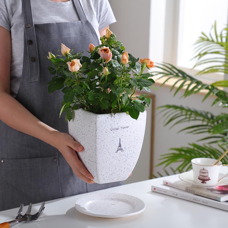 北欧花盆简约创意绿萝花盆陶瓷大号多肉吊兰贴花盆盆景盆