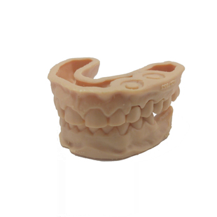 定制光固化红蜡3D打印模型创意花瓶牙齿花瓶毕设模型工科理科模型