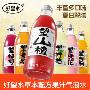 好望水望山楂望梅好望杏福望吉利沙棘果汁气泡水饮料饮品整箱6瓶