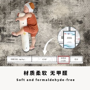 轻奢地垫入户门垫进门地毯家用入户垫防滑客厅高级玄关脚垫可裁剪