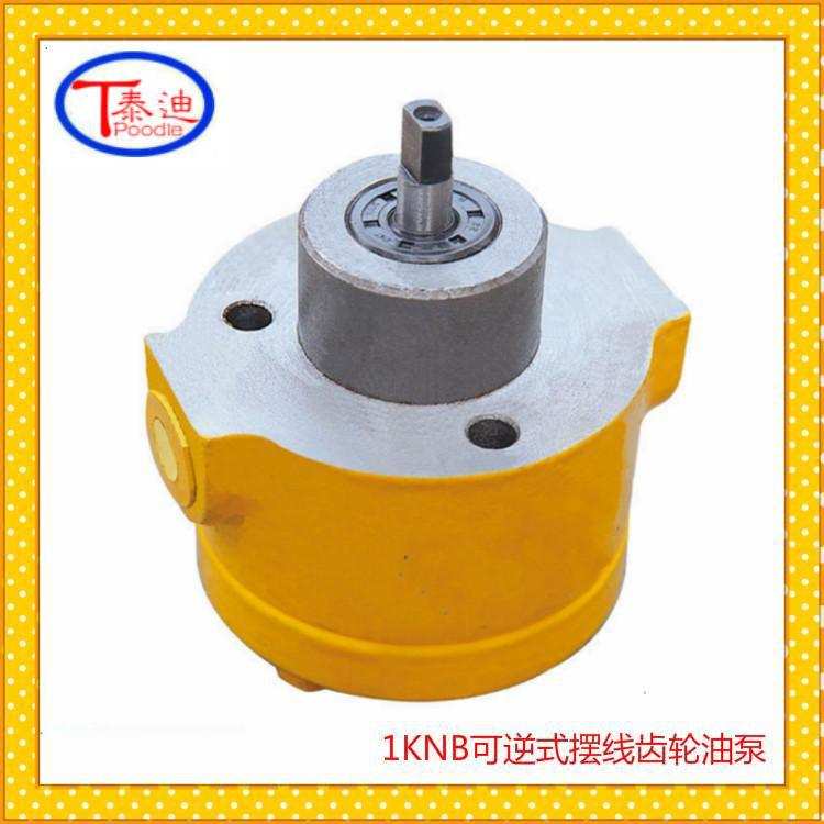 2KNB-8A可逆式摆线齿轮油泵 双向润滑泵 微型双向油泵