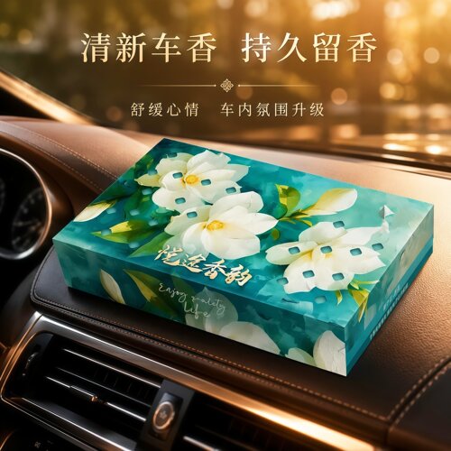 汽车车载固体香薰持久留香香氛