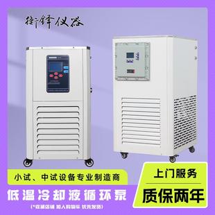 低温冷却液循环泵中型磁力低温恒温反应浴实验室水泵耐腐蚀制冷