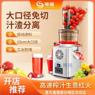 TK-750 Cold Press Commercial Slow Juicer 出口商用冷压榨汁机
