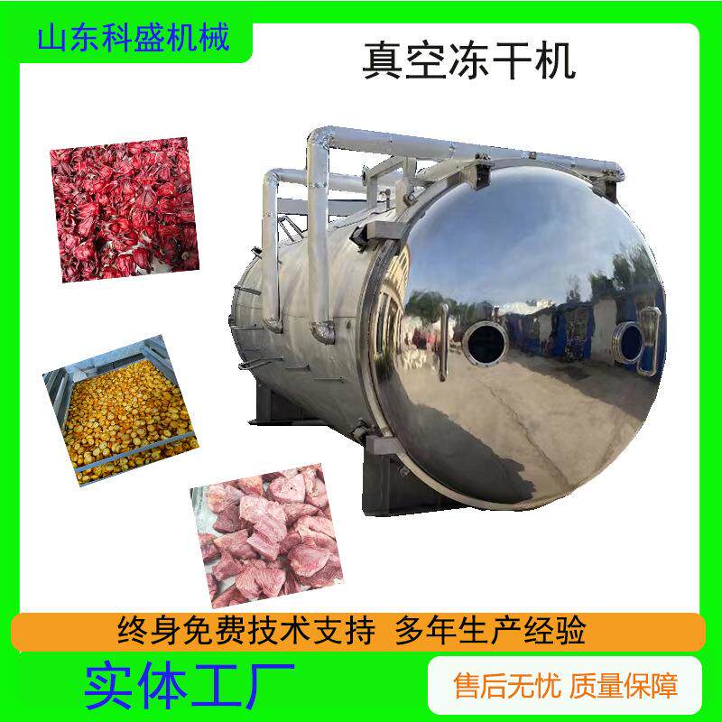 乳制品冻干机 海参鲍鱼松茸海鲜类冻干设备厂家 三七 黄精干燥机
