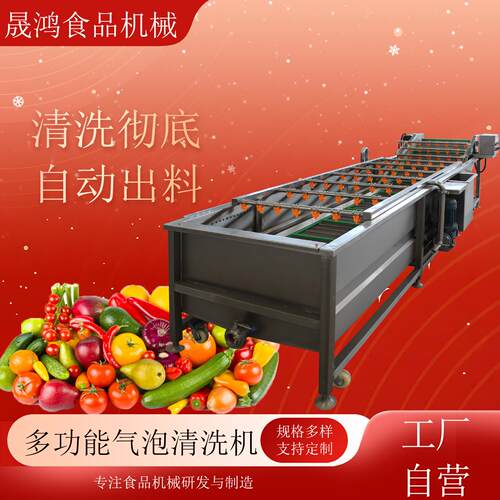 晟鸿西红柿果蔬清洗机 中药材去泥清洗设备 高压喷淋式气泡清洗机