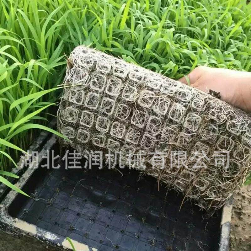 水稻育秧盘机插育苗盆9寸7寸机插秧盘手抛育秧盘平底盘硬盘
