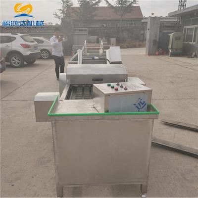 资阳叶类水浴式气泡清洗机 菠菜喷淋式清洗设备 蔬菜清洗机