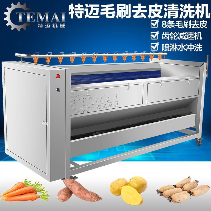 现货供应刺梨清洗机 毛刷滚动式喷淋去皮机 1000型小型毛刷清洗机