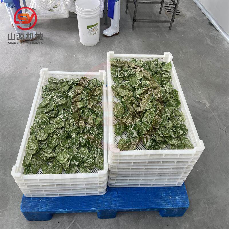 天妇罗桑叶上浆油炸机 香酥翠叶油炸机 菩提南瓜上浆油炸生产线