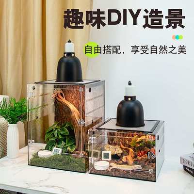 睫角守宫爬宠饲养箱巨人肥尾树栖角蛙亚克力饲养盒缸爬箱