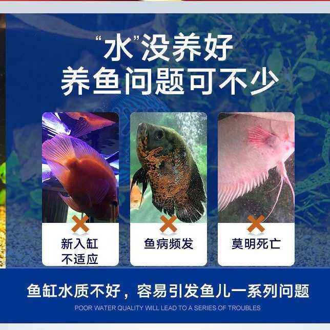 法国科迪硝化细菌 BioDigest超级活性硝化细菌海水缸消化菌