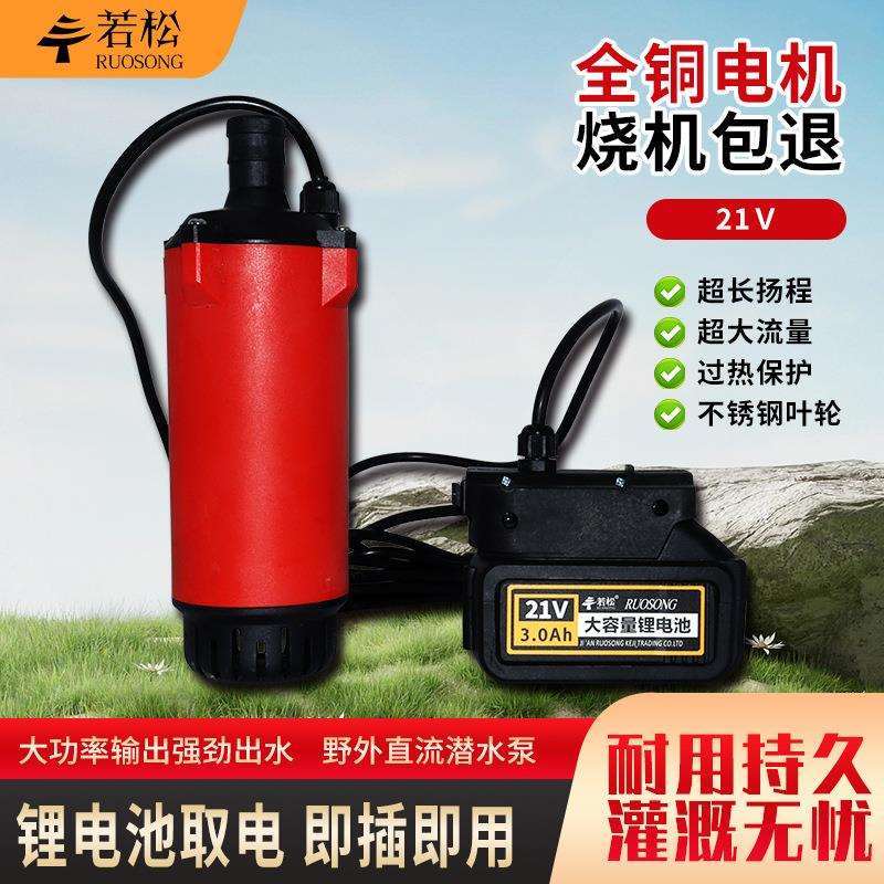 无线便携锂电动抽水泵24V21V直流潜水泵家用农用浇菜灌溉水泵