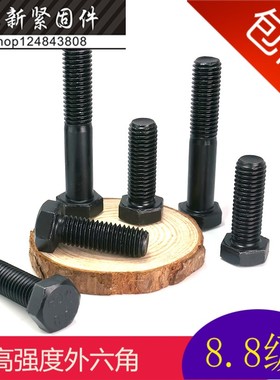 8.8级外六角螺栓 发黑色高强度切边外六角螺丝 M22*60-65-280mm