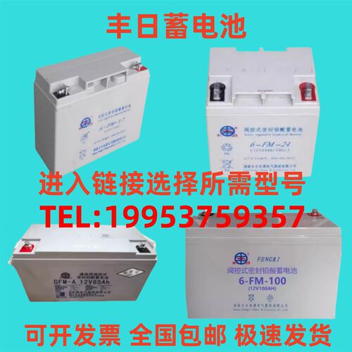 丰日蓄电池6-FM/GFM-12V17A24A38A40A65AH100AH机房/光伏/UPS通讯