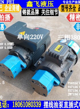 BB-B4JZ BB-B6JZ BB-B10JZ-1摆线齿轮油泵电机组 摆线油泵装置NJZ