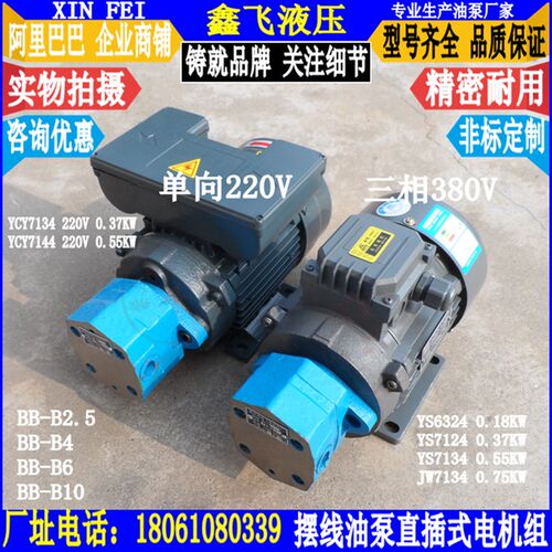 BB-B4JZ BB-B6JZ BB-B10JZ-1摆线齿轮油泵电机组 摆线油泵装置NJZ