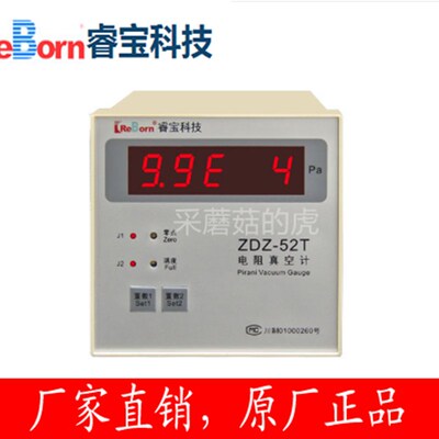 睿宝ZDZ-52T V01真空计 电阻真空计 皮拉尼真空计  真空测量仪器