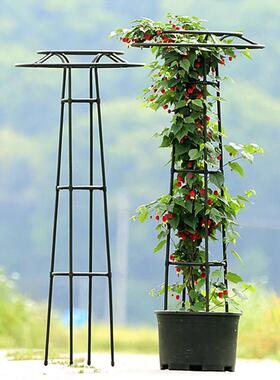 新款14mm爬藤架园艺户外伞形玫瑰月季铁线 线莲攀藤蔷薇花架绿植