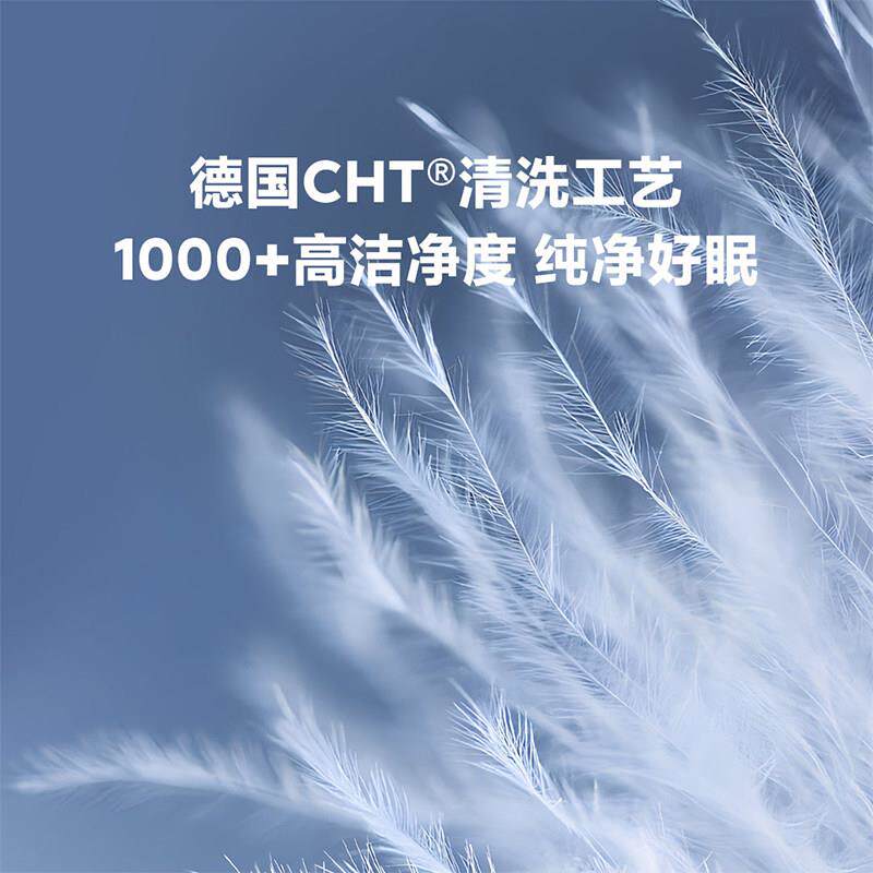 【25款新国标】8h羽绒被95白鹅绒冬被加厚保暖羽鹅绒被子抗菌A类