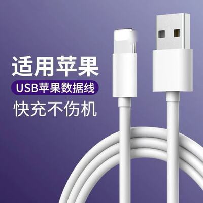 适用苹果12系列快充数据线