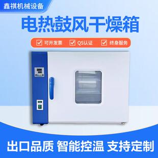 电热恒温鼓风干燥箱高温加热烘干箱实验室烘箱医用高精度工业烤箱