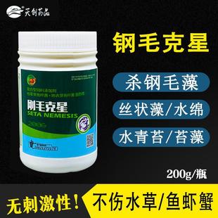 龙虾塘蟹塘杀钢毛藻水产养殖刚毛藻净杀青苔丝状藻水青苔泥皮绿藻