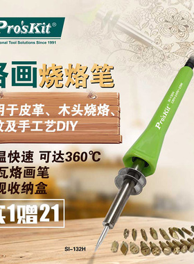宝工电烙铁25W烙画烧烙笔烫花器木工雕花21件组SI-132H